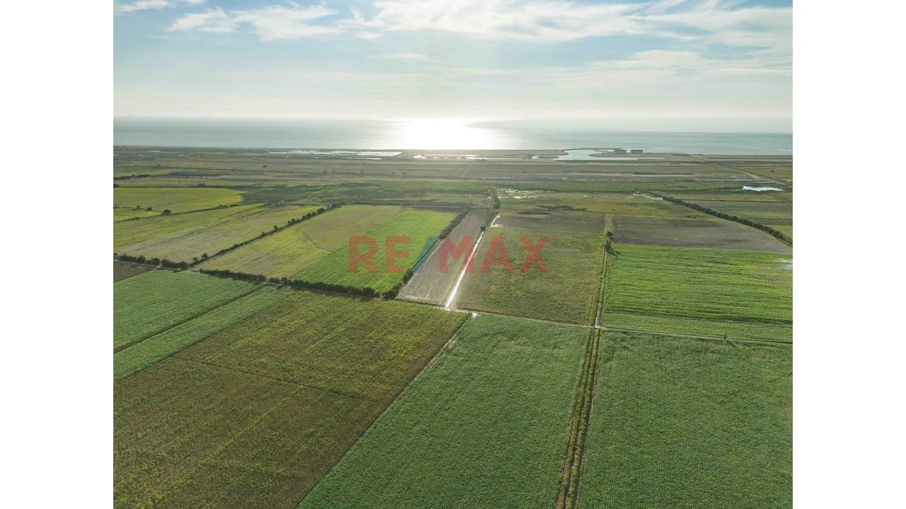 Terreno de 102809 m² en San Vicente de Cañete — foto 2