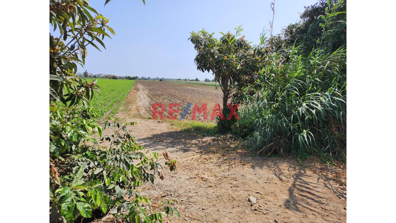Terreno de 9806 m² en Santa Maria