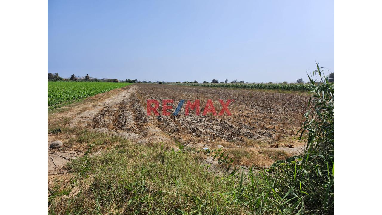 Terreno de 9806 m² en Santa Maria — foto 5