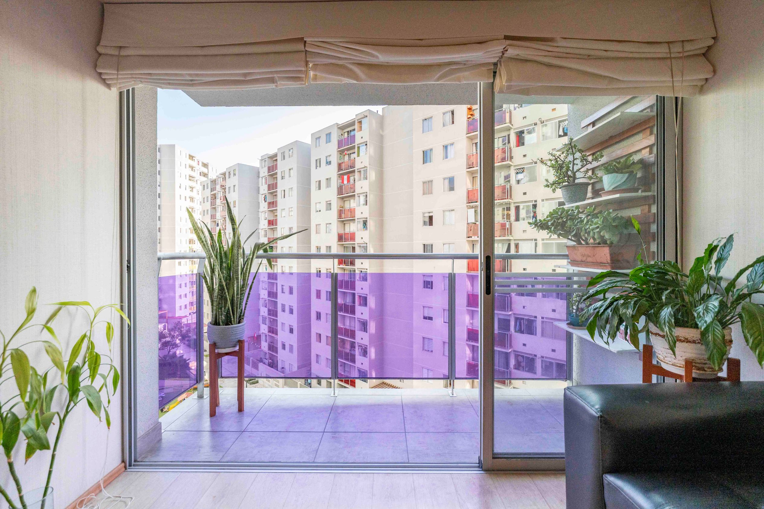 Departamento de 3 dormitorios en Bellavista, 69 m² — foto 4