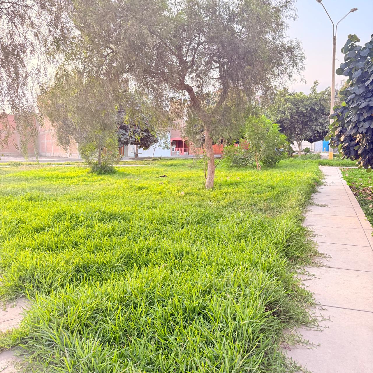 Terreno de 120 m² en Puente Piedra — foto 4
