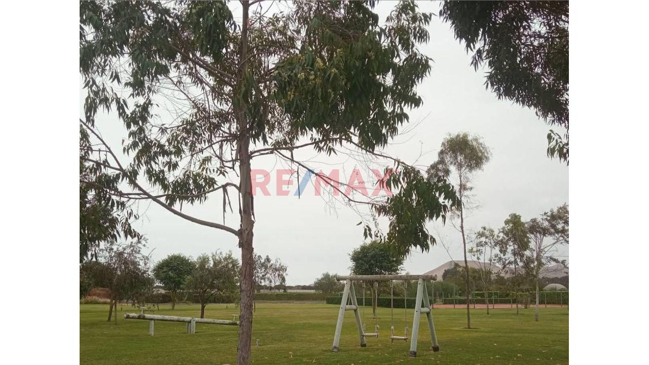 Terreno de 1 m² en Cerro Azul — foto 3
